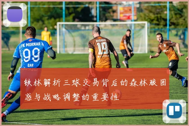 铁林解析三球交易背后的森林狼困惑与战略调整的重要性