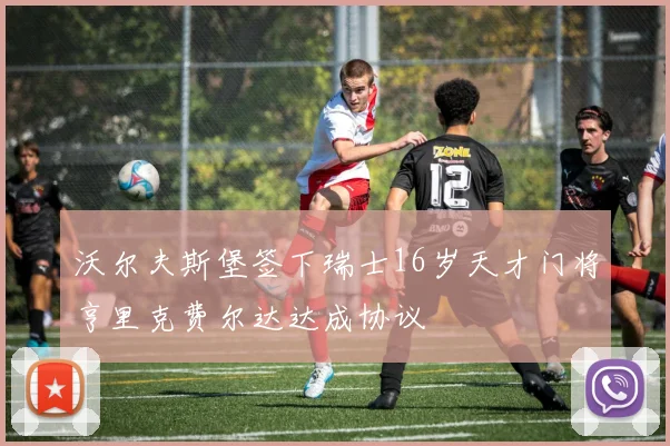 沃尔夫斯堡签下瑞士16岁天才门将亨里克费尔达达成协议