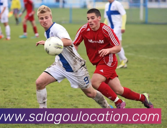 杏彩体育官网在线平台生态图